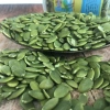 Hạt bí xanh Ấn Độ rang tách vỏ - Nhân Healthy BeeNut, dinh dưỡng, 100-500g, giảm 20% 2