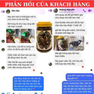 Hạt Cào Cào Non HQ3 500gr Nội địa Trung Quốc, dinh dưỡng cho chim cảnh, giảm 20%