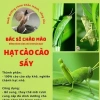 Hạt cào cào sấy nguyên chất 200g - Dinh dưỡng cho chim cảnh - Bác sĩ chào mào - Giá chỉ 50.000đ 2