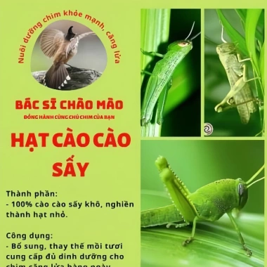 Hạt cào cào sấy nguyên chất 200g - Dinh dưỡng cho chim cảnh - Bác sĩ chào mào - Giá chỉ 50.000đ