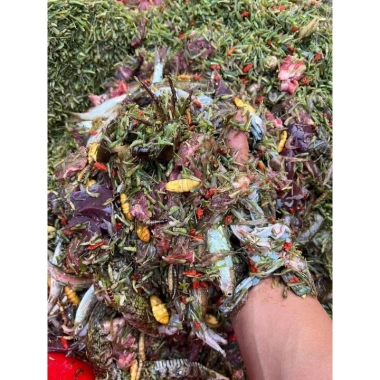 Hạt cào cào sấy nguyên chất 200g - Dinh dưỡng cho chim cảnh - Bác sĩ chào mào - Giá chỉ 50.000đ