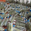 Hạt cào cào sấy nguyên chất 200g - Dinh dưỡng cho chim cảnh - Bác sĩ chào mào - Giá chỉ 50.000đ 6