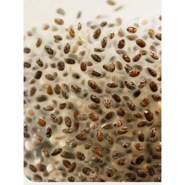 Hạt chia giảm cân nhập khẩu Mexico - Ăn liền no lâu, healthy chỉ 99.000₫