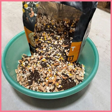 Hạt cho mèo S2pet V1 5kg – Đạm 32% Mix topping, bổ sung dinh dưỡng toàn diện cho mọi lứa tuổi – 95.000₫ 3