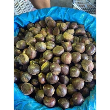 Hạt dẻ còn sống ngon 1kg - Giá chỉ 170.000đ, chất lượng cao, tươi mới