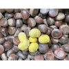 Hạt dẻ còn sống ngon 1kg - Giá chỉ 170.000đ, chất lượng cao, tươi mới 9