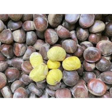 Hạt dẻ còn sống ngon 1kg - Giá chỉ 170.000đ, chất lượng cao, tươi mới