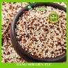 Hạt Diêm Mạch Quinoa Mỹ 500g - Ngũ Cốc Dinh Dưỡng Hoàng Phương, Giá 39.470₫