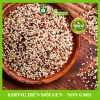Hạt Diêm Mạch Quinoa Mỹ 500g - Ngũ Cốc Dinh Dưỡng Hoàng Phương, Giá 39.470₫ 3
