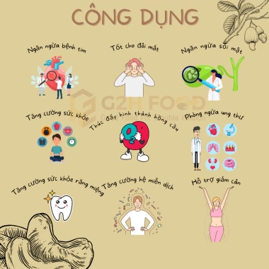 Hạt Điều Bình Phước Rang Tỏi Ớt Nguyên Hạt – Ngũ Cốc Dinh Dưỡng Bà Bầu Ăn Kiêng Giảm Cân, Giá 140.000đ G2H Food 8