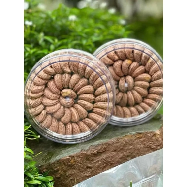 Hạt điều cồ A+ Nhà Coca rang muối nguyên vỏ lụa - Hộp xếp hoa 500gr giá ưu đãi 130k 2