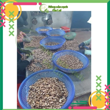 Hạt điều không muối bóc lụa sấy chín 1kg Gia Lai - Giòn rụm, ngon ngọt, giảm còn 350.000₫