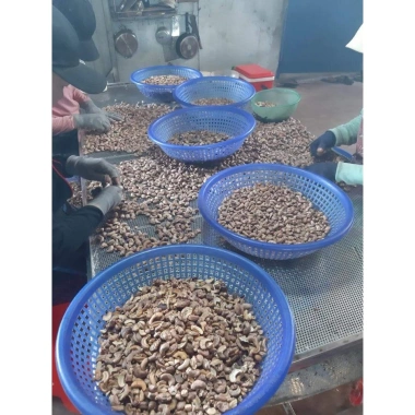 Hạt điều không muối sây bóc vỏ lụa mới – Giá 270.000đ, chất lượng chuẩn, vị ngọt tự nhiên 4