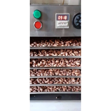 Hạt điều không muối sây bóc vỏ lụa mới – Giá 270.000đ, chất lượng chuẩn, vị ngọt tự nhiên 5