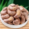 Hạt điều rang muối 1kg Bình Phước – Thơm ngon, bổ dưỡng, giảm giá 89.000 VND 7