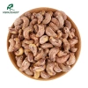 Hạt điều rang muối 250gr lon - 380-410 hạt/kg, giá chỉ 100.000₫, có hồ sơ công bố, xuất hoá đơn công ty 3
