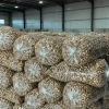 Hạt Điều Rang Muối 500g Hộp Xếp Hoa Rang Củi Thủ Công Giá Ưu Đãi 175.000₫ 5