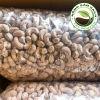 Hạt điều rang muối A cồ 500g - Xếp hoa Bình Phước, nông sản sạch Tây Nguyên, 125k 6