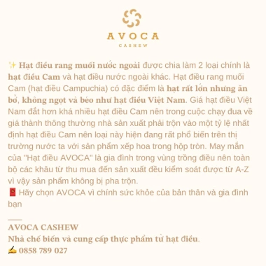Hạt Điều Rang Muối Avoca Loại A 500g - Giá chỉ 90.000đ, giảm mạnh so với 115.200đ 9