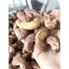 Hạt điều rang muối Bình Phước 3kg size to, đều hạt - Giá chỉ 200.000 giảm 60.000 2