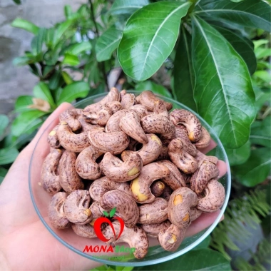 Hạt Điều rang muối Bình Phước 500gr túi hút chân không Quà Tết, quà tặng 199k