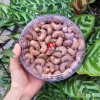 Hạt Điều rang muối Bình Phước 500gr túi hút chân không Quà Tết, quà tặng 199k 8
