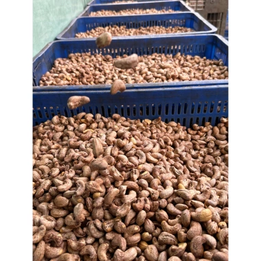Hạt điều rang muối Bình Phước 5kg Nguyên size to, đều hạt Dương Cát - Giá chỉ 365.000đ