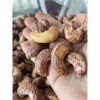 Hạt điều rang muối Bình Phước 5kg Nguyên size to, đều hạt Dương Cát - Giá chỉ 365.000đ 7