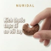 Hạt điều rang muối cỡ lớn Vỏ lụa, Rang Cùi 500g - NURIDAL, Giá ưu đãi 373.150₫ 5
