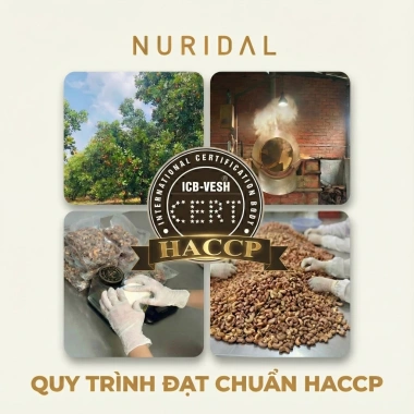 Hạt điều rang muối cỡ lớn VỎ LỤA RANG CỦI NURIDAL 250g Giá ưu đãi 237.150 VND 7