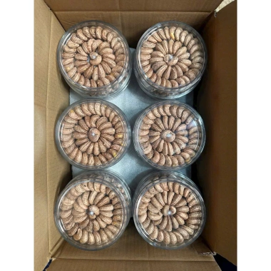 Hạt điều rang muối đặc sản Bình Phước – Giá ưu đãi 100k (Giá gốc 120k) 3 Hạt điều rang muối đặc sản Bình Phước – Giá ưu đãi 100k (Giá gốc 120k) 3