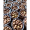 Hạt Điều Rang Muối Đăk Lăk Nguyên Lụa 500g - Giá ưu đãi 121.500 VND, giòn thơm 6