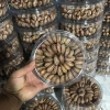 Hạt Điều Rang Muối Loại A+ 500g - Giá 179.280 VND, Cam Kết Y Hình, Quà Tặng 4