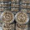 Hạt Điều Rang Muối Loại A+ 500g - Giá 179.280 VND, Cam Kết Y Hình, Quà Tặng 5