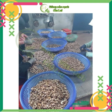 Hạt điều Rang Muối nguyên hạt Gia Lai thơm giòn - Giá ưu đãi 330.000đ 2 Hạt điều Rang Muối nguyên hạt Gia Lai thơm giòn - Giá ưu đãi 330.000đ 2