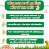 Hạt Điều Rang Muối Nguyên Vỏ Chuẩn Loại 1 Thơm Ngon Giòn Bùi Mourads 500g Giá chỉ 90.500₫ 3