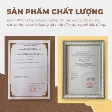 Hạt Điều rang muối vỏ lụa A cồ hạt to chuẩn xuất khẩu – Minh Phong Farm 500g 100k 5
