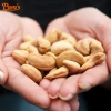 Hạt Điều Rang Nguyên Vị Pams 300g - Nhân Dày Cơm Sạch, Giá Ưu Đãi 145k 2