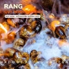Hạt Điều Rang Sấy Nguyên Vị Không Muối 500g Túi Hút Chân Không - Giá 180.000 2