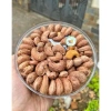 Hạt điều xếp hoa rang muối Kim Thanh 500g - Hộp tròn tiện lợi, hương vị thơm ngon, không chất bảo quản, giá ưu đãi 110k - Tập hòa tân nhiên 6