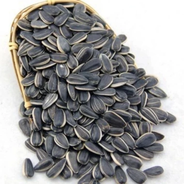 Hạt Dưa, Bí, Hướng Dương Gia Long 500g Đặc Biệt Giá chỉ 58.800₫, Giảm mạnh 2