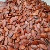 Hạt Dưa, Bí, Hướng Dương Gia Long 500g Đặc Biệt Giá chỉ 58.800₫, Giảm mạnh 3