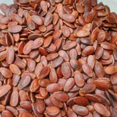 Hạt Dưa, Bí, Hướng Dương Gia Long 500g Đặc Biệt Giá chỉ 58.800₫, Giảm mạnh 3