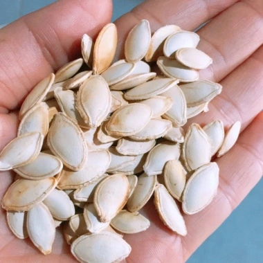 Hạt Dưa, Bí, Hướng Dương Gia Long 500g Đặc Biệt Giá chỉ 58.800₫, Giảm mạnh 4
