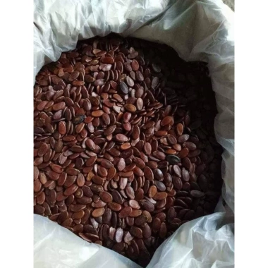 Hạt dưa Buôn Mê Thuột 0.5kg Đặc biệt giảm giá, chỉ 129.000₫, vị thơm ngon, an toàn