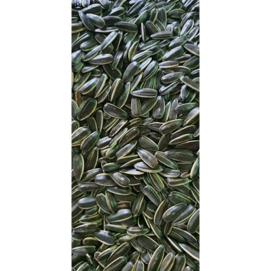 Hạt dưa, hạt bí (còn vỏ) & hạt hướng dương Đặc biệt 500gr - Giá chỉ 35.000₫