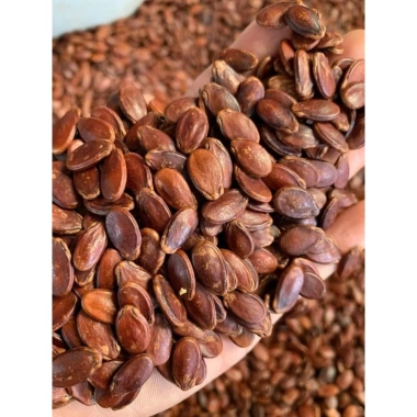 Hạt Dưa H'ren Hương Vị Tết Truyền Thống 200g Chuẩn Nhà Làm Giảm Giá Đặc Biệt 159k 3 Hạt Dưa H'ren Hương Vị Tết Truyền Thống 200g Chuẩn Nhà Làm Giảm Giá Đặc Biệt 159k 3
