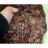 Hạt Dưa Không Nhuộm Màu 500g - Giá Giảm 105.000₫, Thức Ăn Vặt Dinh Dưỡng 2