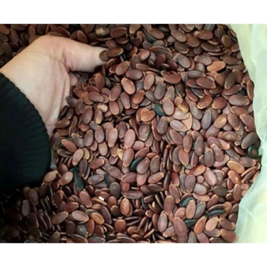 Hạt Dưa Không Nhuộm Màu 500g - Giá Giảm 105.000₫, Thức Ăn Vặt Dinh Dưỡng 2 Hạt Dưa Không Nhuộm Màu 500g - Giá Giảm 105.000₫, Thức Ăn Vặt Dinh Dưỡng 2