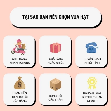 Hạt dưa rang củi 500g không màu - An toàn sức khoẻ, giá ưu đãi 125.000₫